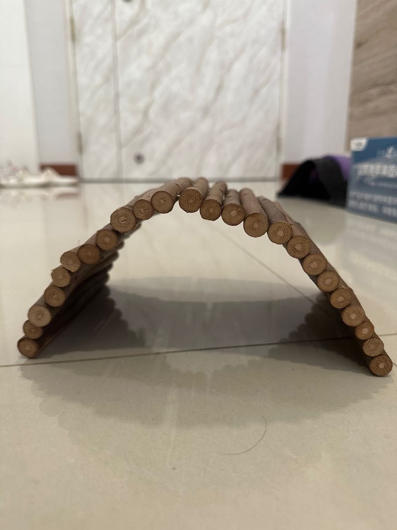 Bendy bridge sale petsmart