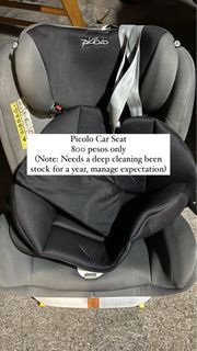 Picolo Car Seat