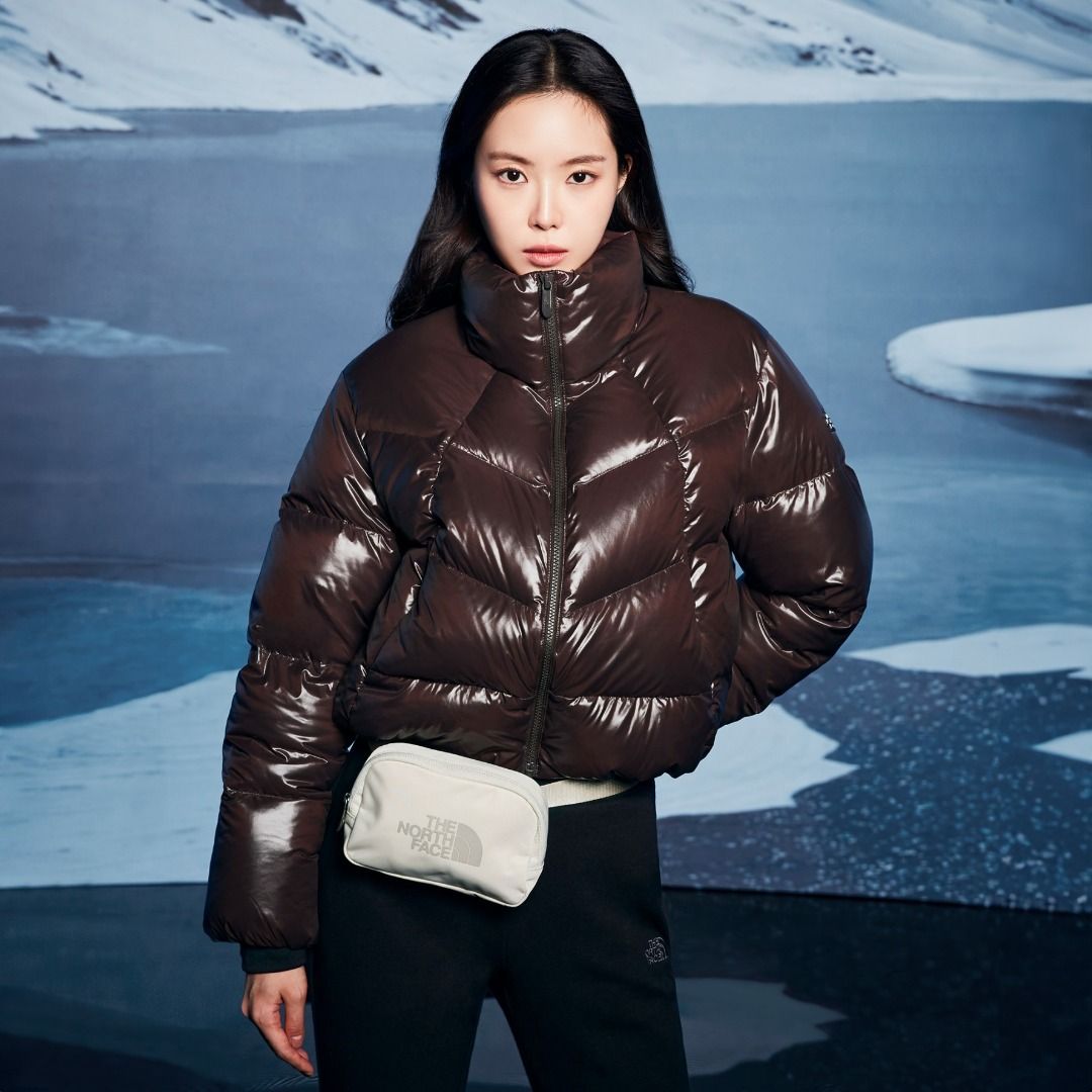 The north face goose down jacket store