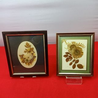 Wall decor 6"x5" Dried Pressed flower in solid wood frame from the UK for 345 each *F84