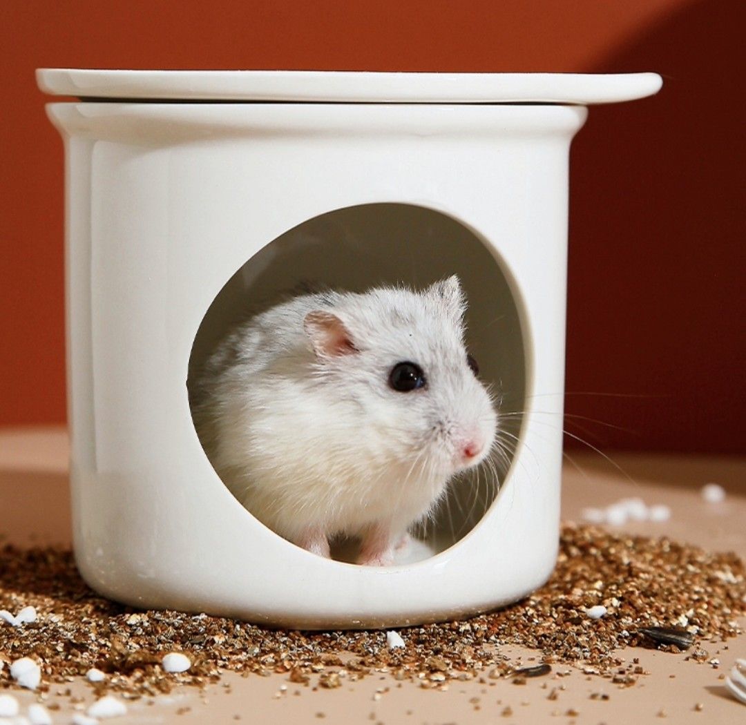 Hamster ceramic hideout clearance