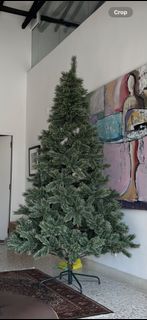 (Category: ) located in . Submitted by courtneyrobin (Listing ID 1283122862, Image 1). Description: .