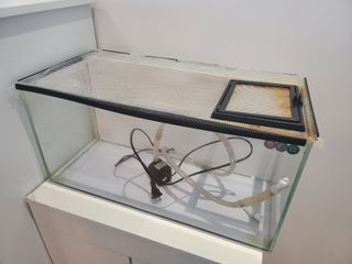 （分類：）位於 。 由 kikicoco114 提交（商品編號 1283166959，圖片 1）。簡介： 。