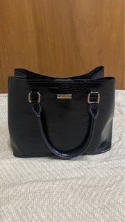 ALDO Black Bag (Used for 2months only)