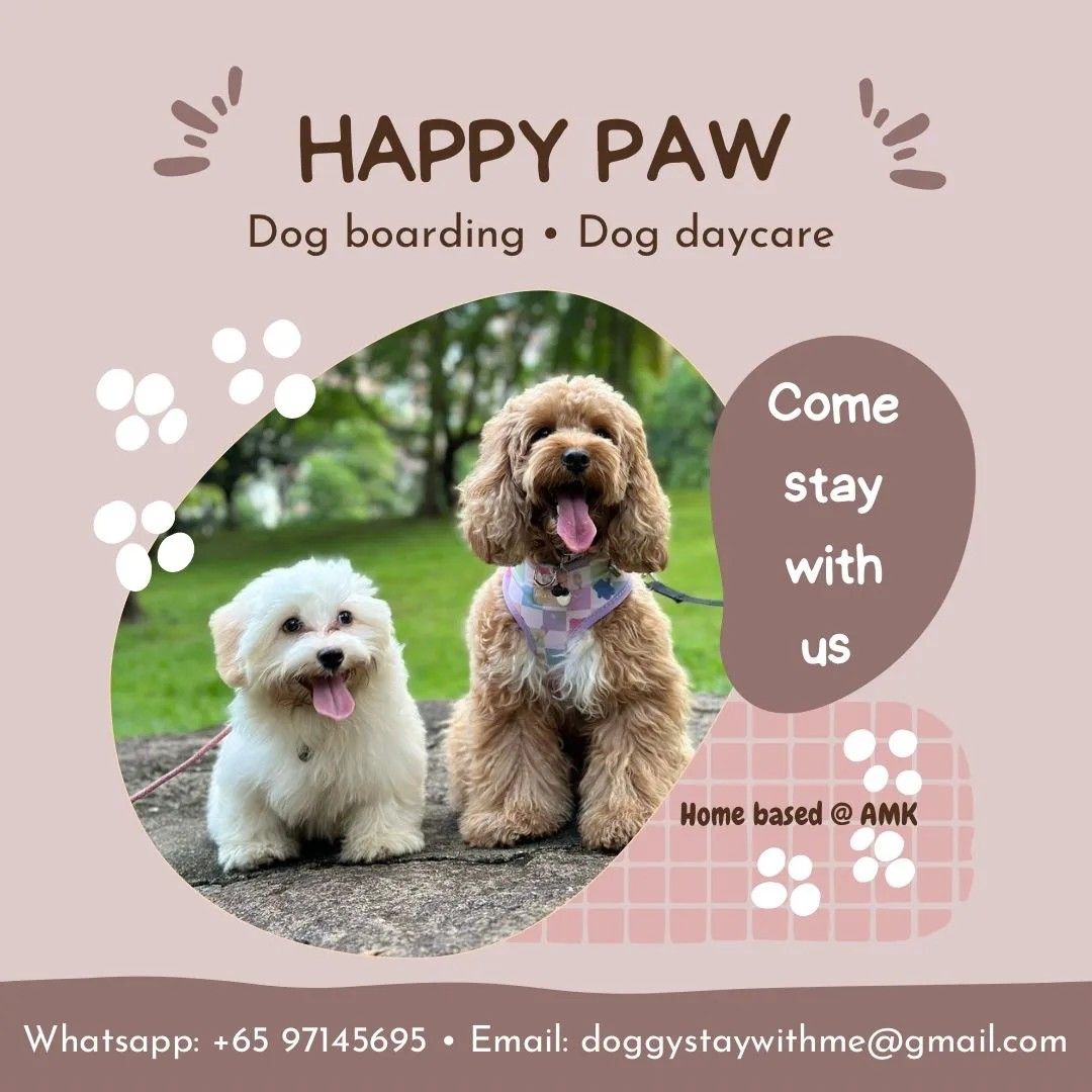 AMK Dog Boarding Daycare, Pet Supplies, Homes Other Pet