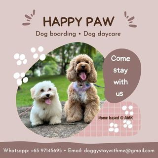 Affordable dog boarding top
