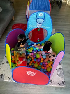 (Category: ) located in . Submitted by dernyse (Listing ID 1283248919, Image 1). Description: .