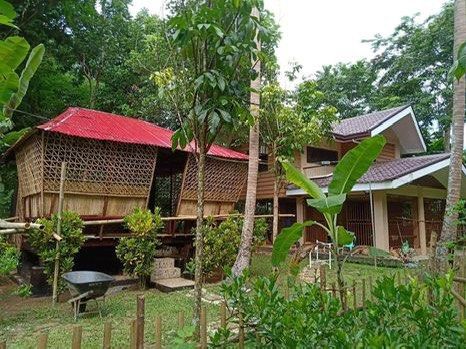 FARM IN PILA LAGUNA (Category: Lot) located in Manila. Submitted by amieleima (Listing ID 1283147501, Image 3). Description: Farm house and lot for sale! 📍 Masico, Pila Laguna 5,000 sqm ✔️clean title ✔️updated taxes ✔️well maintained ✔️With concrete House Up and down- 2 T&B, 2 bedrooms, ✔️newly built bahay kubo with kitchen -1 T&B ✔️small house for care taker with 1 bedroom -T&B ✔️With water and meralco line ✔️With coconut trees, banana, mahogan
