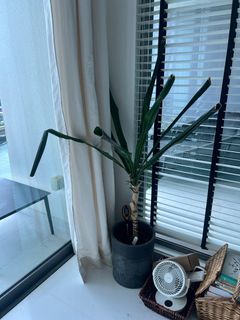 (Category: ) located in . Submitted by marlena89 (Listing ID 1283145356, Image 1). Description: .