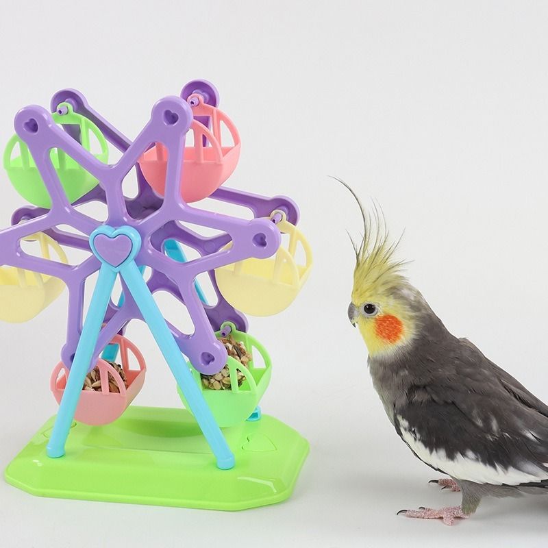 Educational bird deals toys
