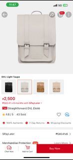Straightforward DVL Etoilé backpack