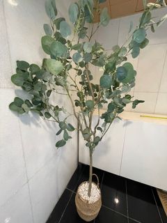 （分類：）位於 。 由 TS022 提交（商品編號 1276558751，圖片 1）。簡介： 。