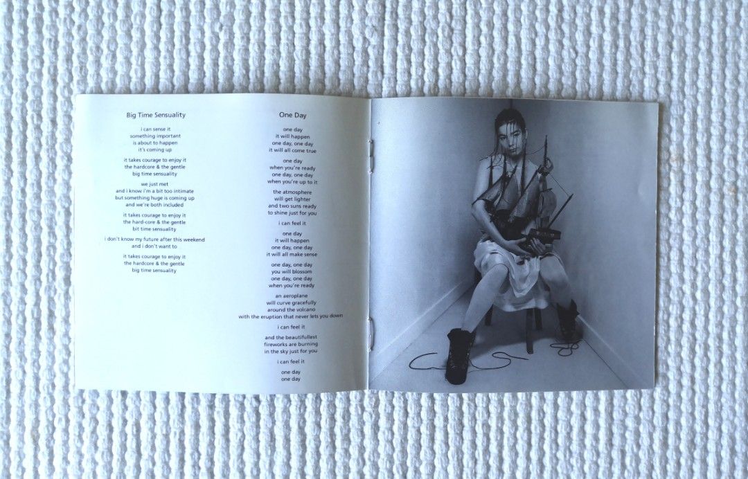 BJORK/DEBUT/Album CD, Hobbies & Toys, Music & Media, CDs & DVDs on