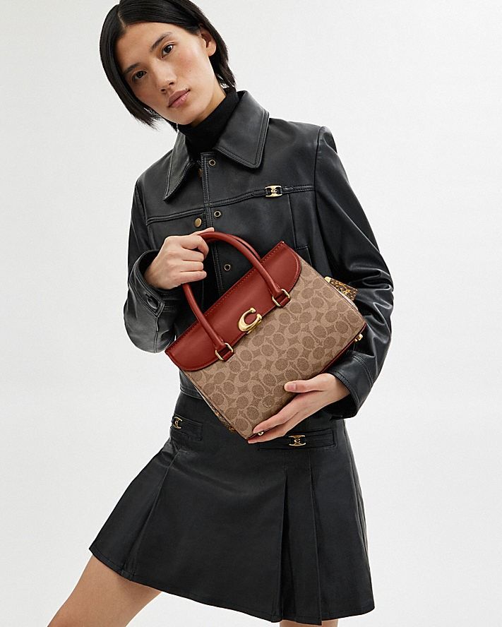 Charlie carryall with colorblock snakeskin outlet handles