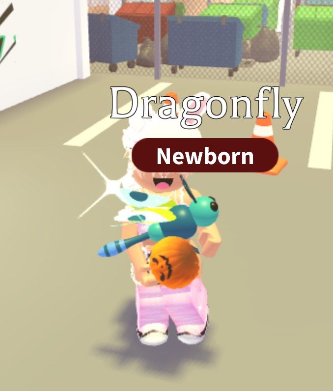 Dragonfly From Adopt Me Roblox Video Gaming Gaming Accessories In Dragonfly From Adopt Me Roblox Video Gaming Gaming Accessories In