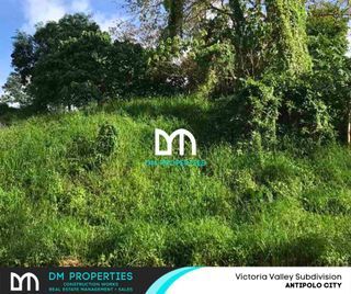 For Sale: Vacant Lot in Victoria Valley Subdivision, Antipolo City