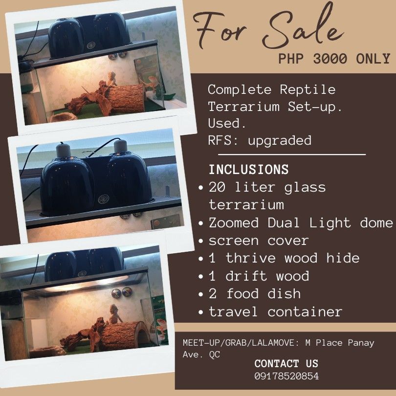 Full Reptile Set Up USED Pet Supplies Homes Other Pet