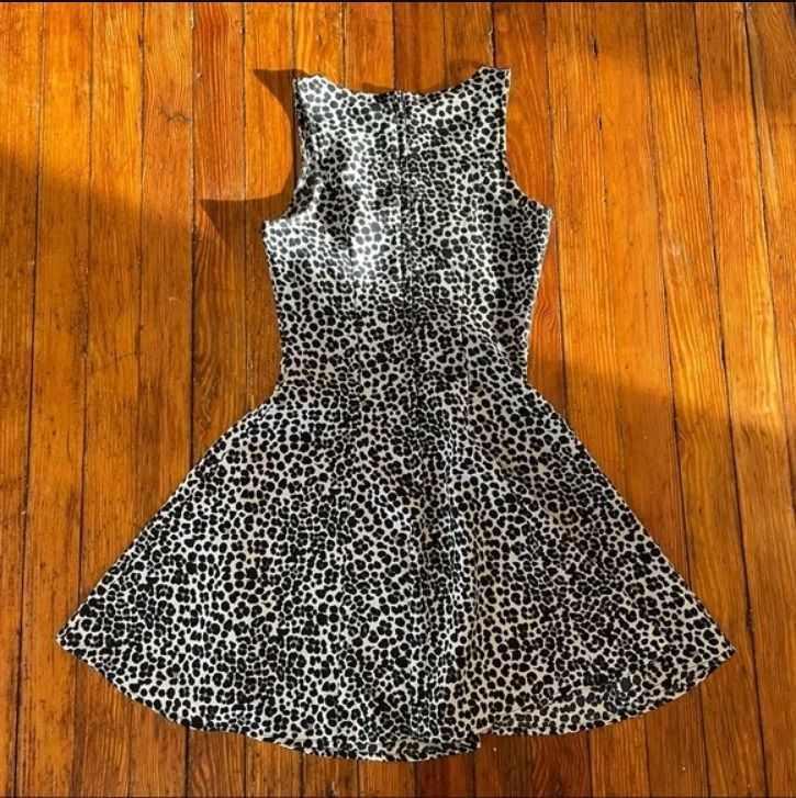 Cheetah skater dress clearance