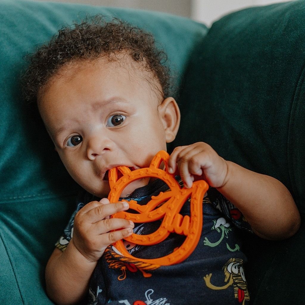 Animal Soft Combo Teether for Babies -Pack of 4 – Wristybuddy