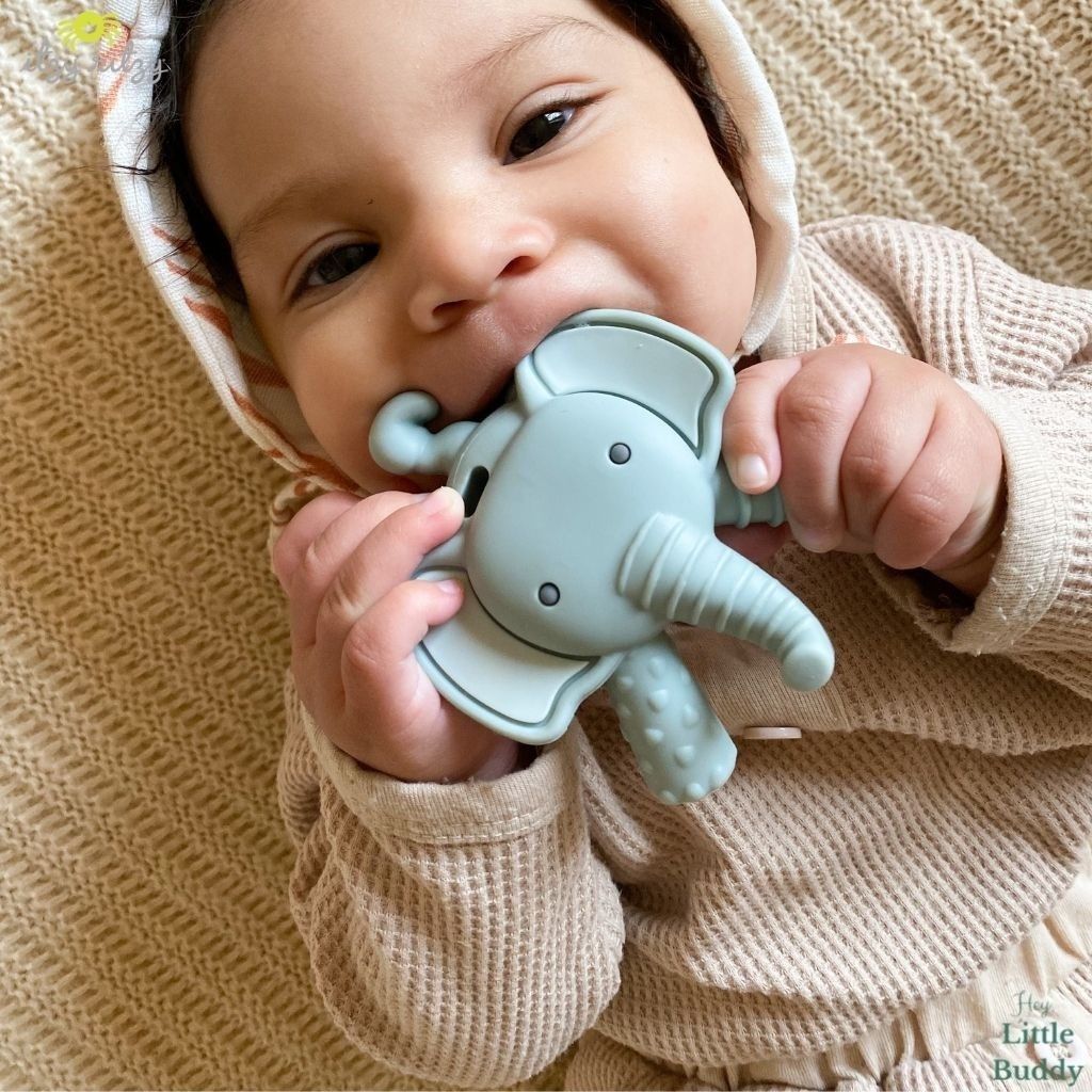 Chic buddy teether best sale