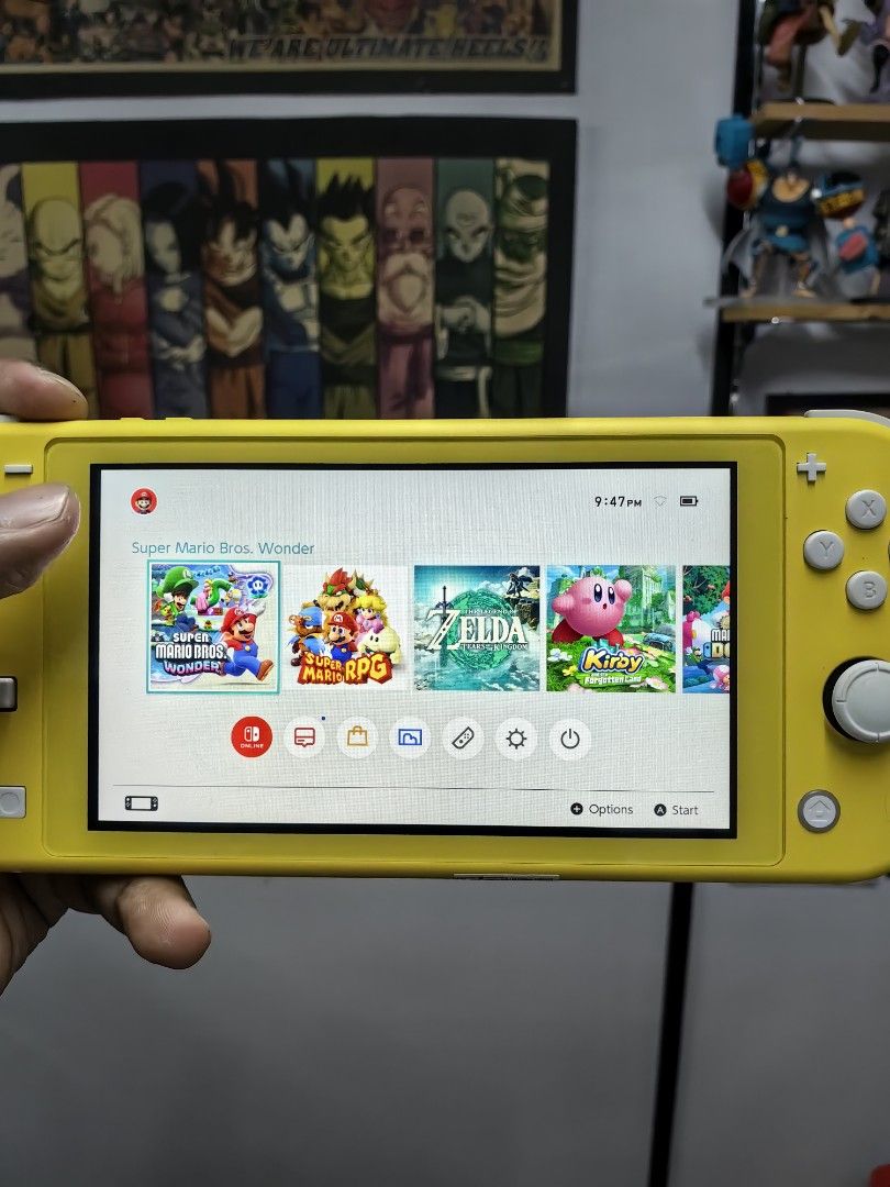Nintendo switch lite jailbreak dual mode, Video Gaming, Video Game