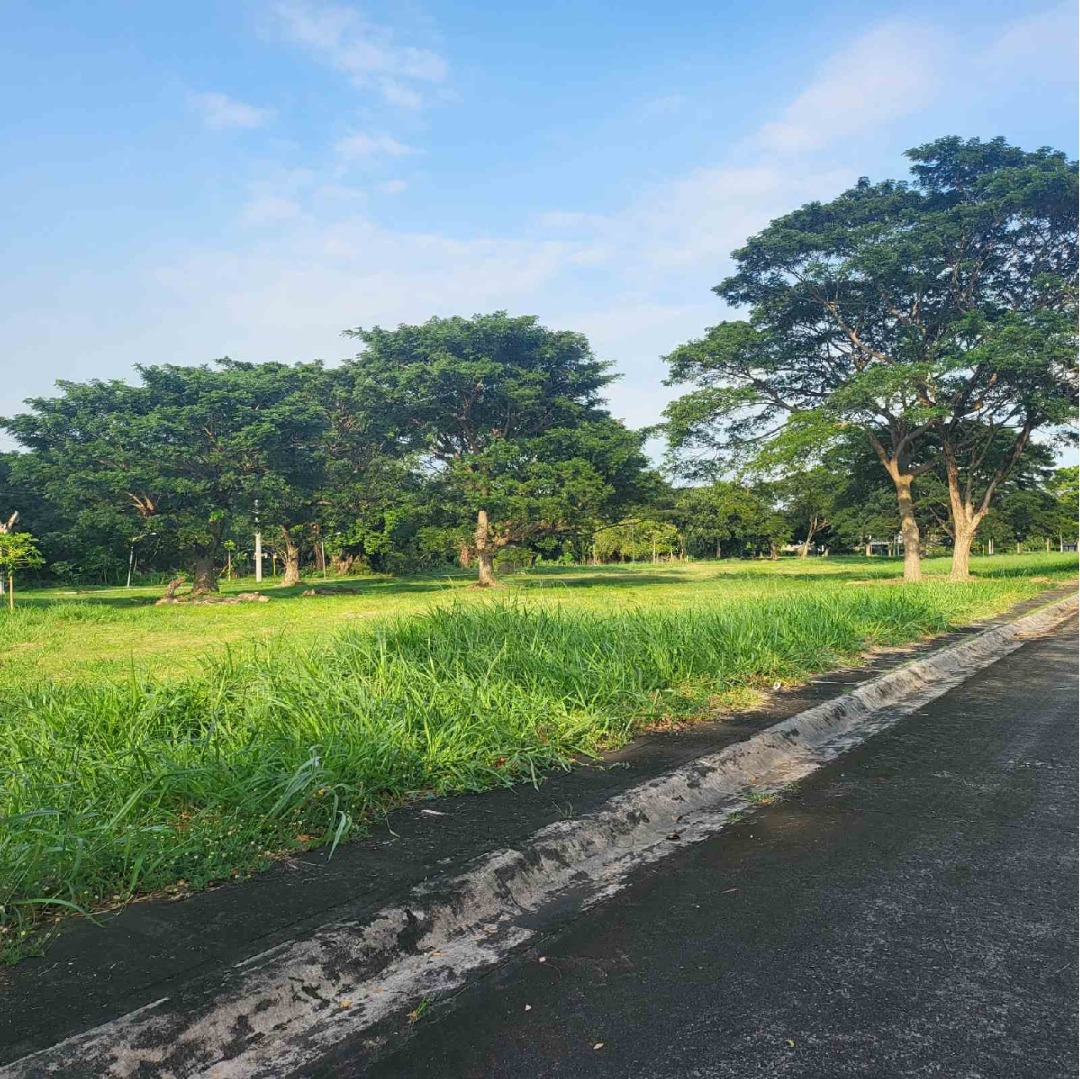 Occasional Residential Lot For Sale in Manila Southwoods Phase 3 Near