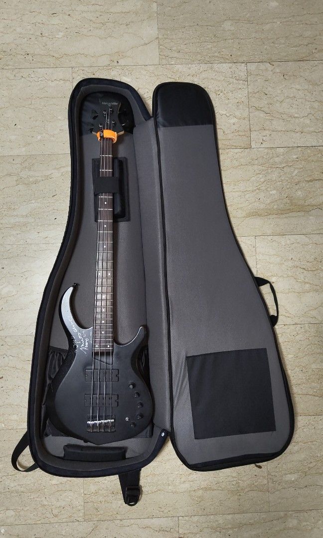 Enormous best sale gig bag