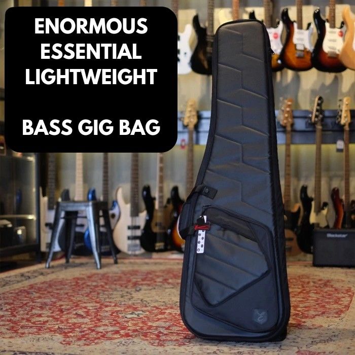 Enormous best sale gig bag