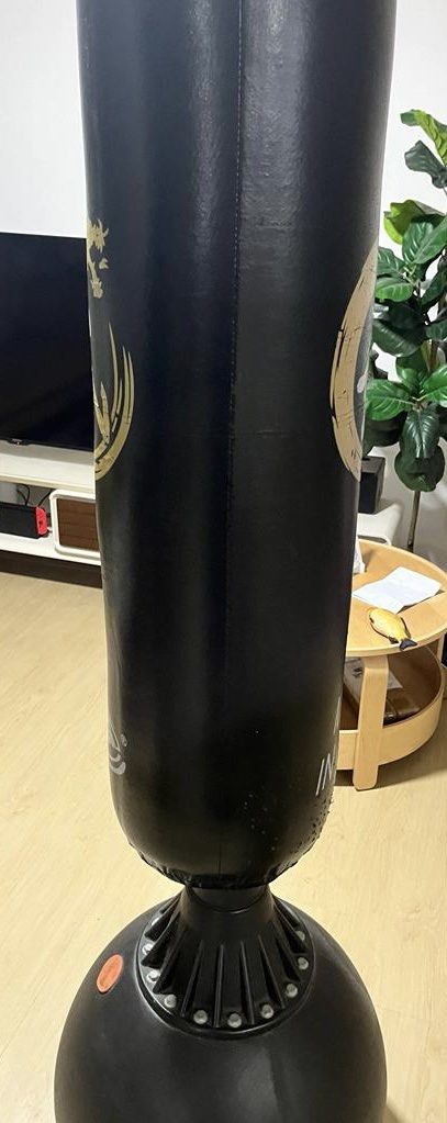 Standing punching hot sale bag olx