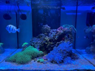 (Category: ) located in . Submitted by mweil (Listing ID 1276535472, Image 1). Description: .