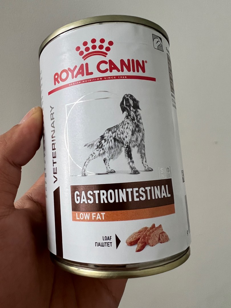Gastrointestinal low fat online canned dog food