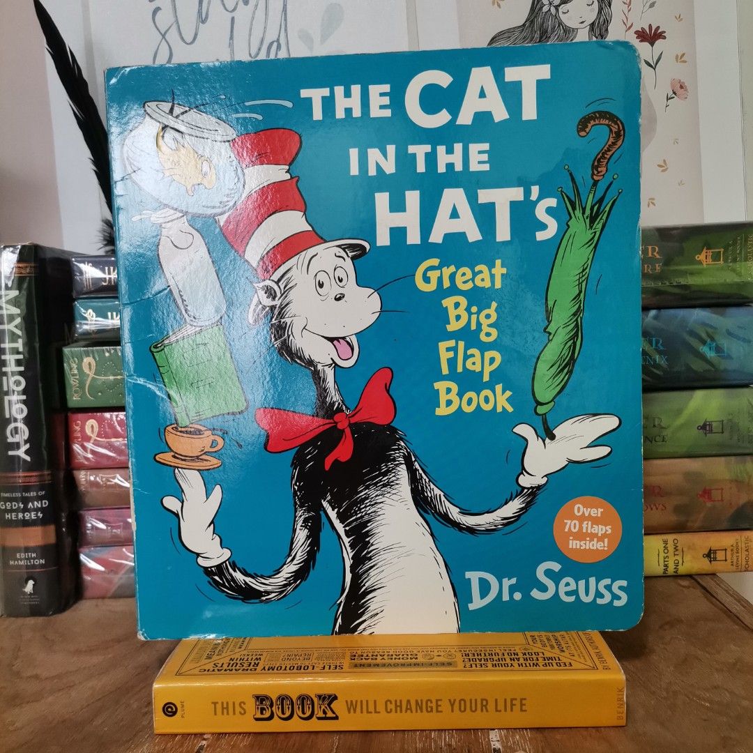 Cat in the hat big book sales