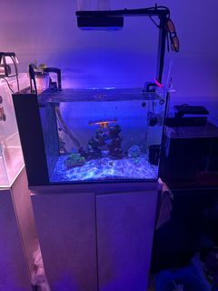 (Category: ) located in . Submitted by simonha81048812 (Listing ID 1276786183, Image 1). Description: .