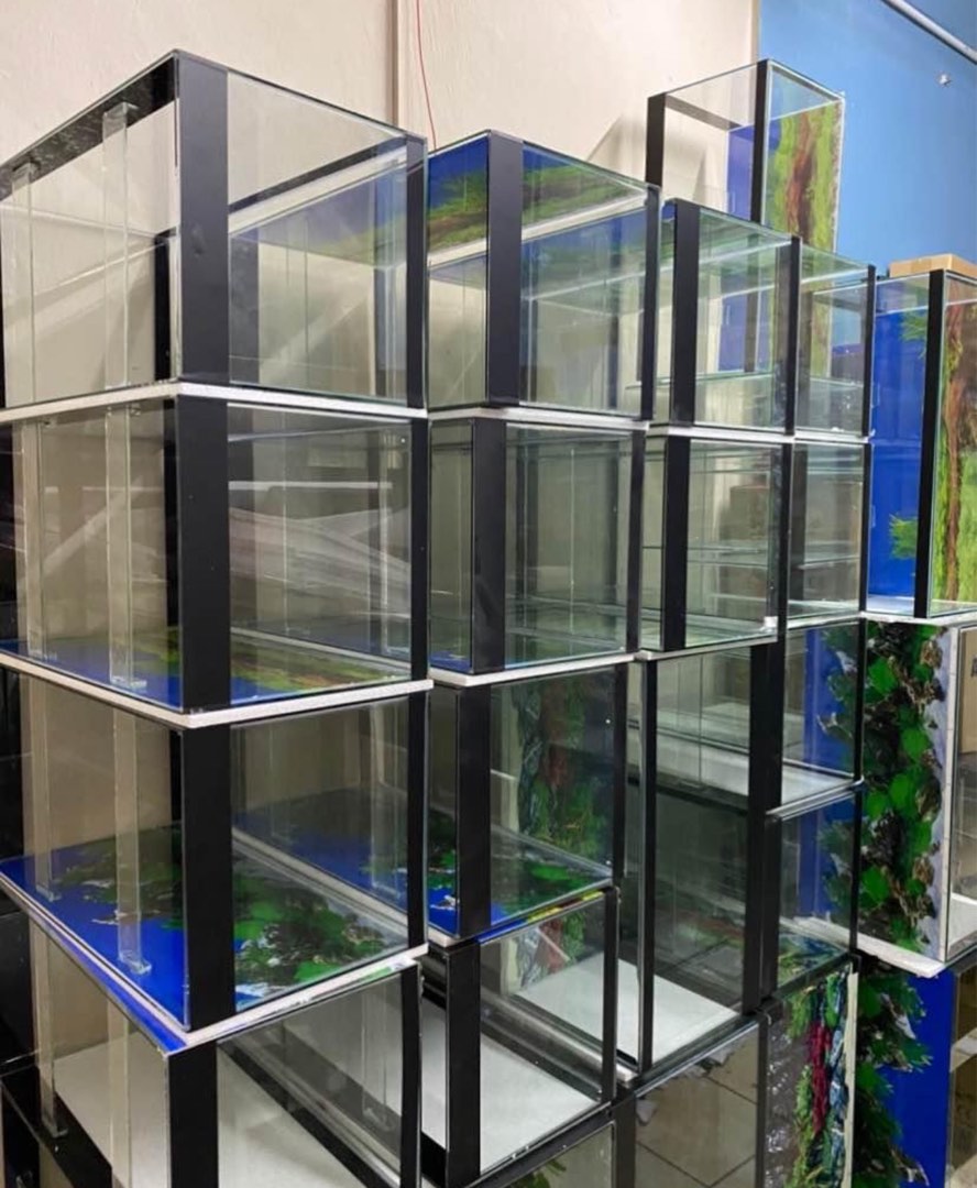 Akuarium baru, Pet Supplies, Homes & Other Pet Accessories on Carousell