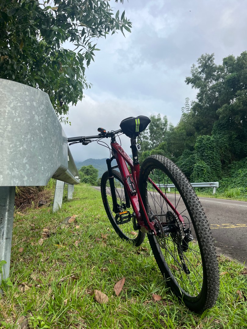 Alcott store bike mtb