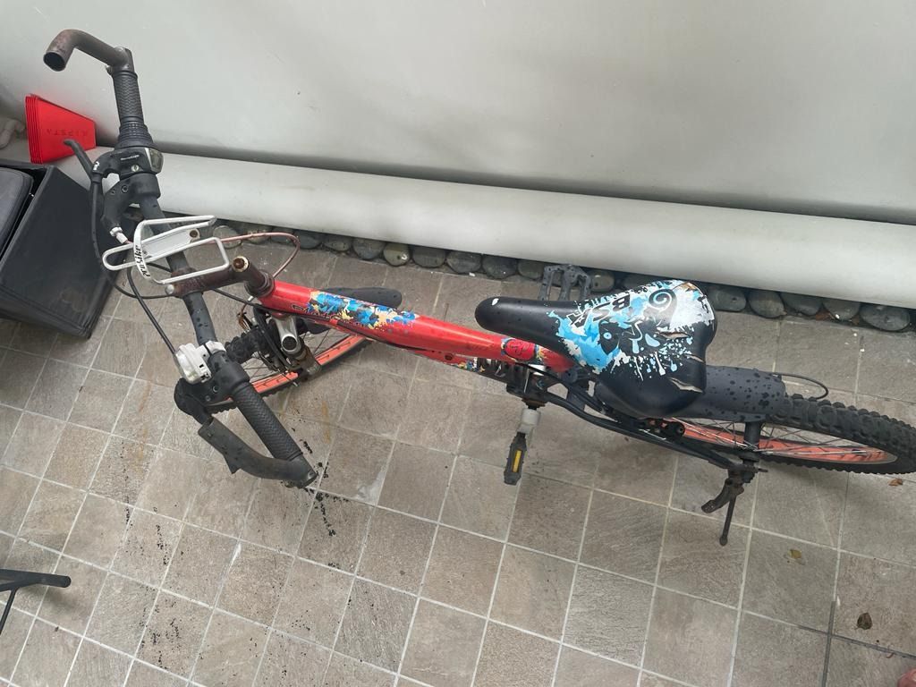 Bsa cycles for hotsell 10 years girl