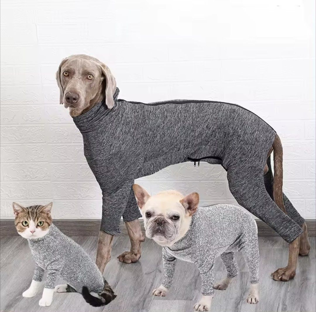 Cat dog hotsell onesie