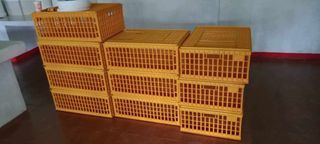 Chicken crates