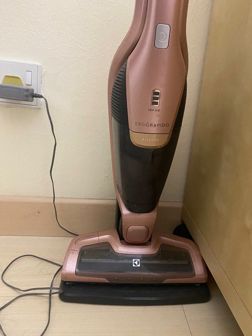 Electrolux ergorapido allergy stick vacuum sales review