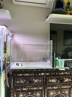 (Category: ) located in . Submitted by annakak (Listing ID 1276861817, Image 1). Description: .