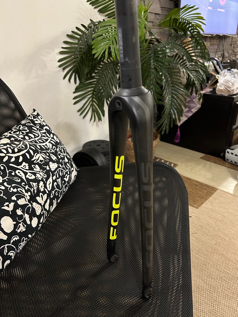 Focus carbon fork 2025