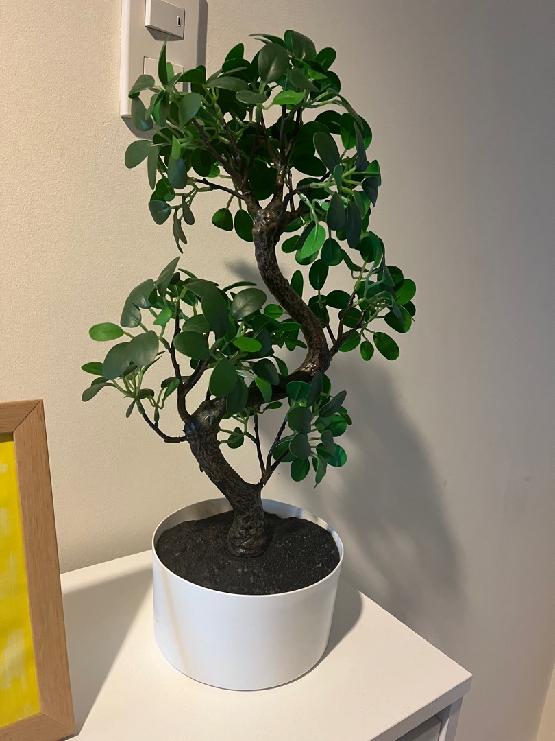 IKEA Artificial Bonsai, Furniture & Home Living, Gardening, Plants