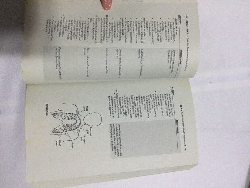 Nurses’ Guide to Clinical Procedures (Category: Textbooks) located in Masantol. Submitted by phoebern (Listing ID 1276861622, Image 3). Description: Nurses’ Guide to Clinical Procedures 5th Edition Smith-Temple Johnson Rfs: RN na po. Free: Personal Notes and Printed Lectures. Rooting for you Future RN!.