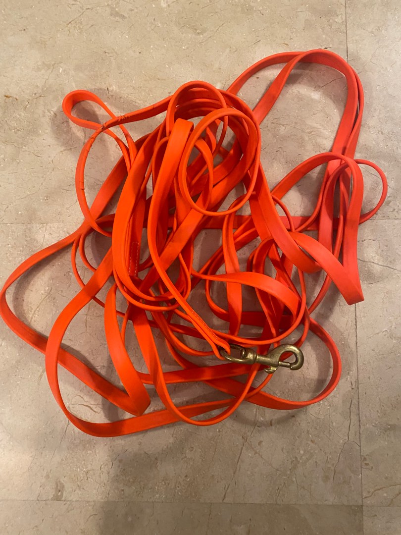 33ft / 10m Viper biothane long leash, Pet Supplies, Homes & Other Pet  Accessories on Carousell