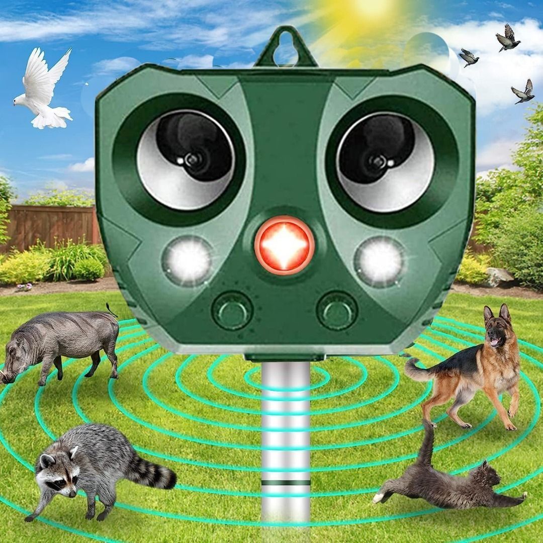 Motion activated deals dog deterrent