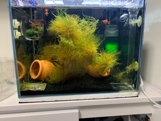 （分類：）位於 。 由 garyywm 提交（商品編號 1277110732，圖片 1）。簡介： 。