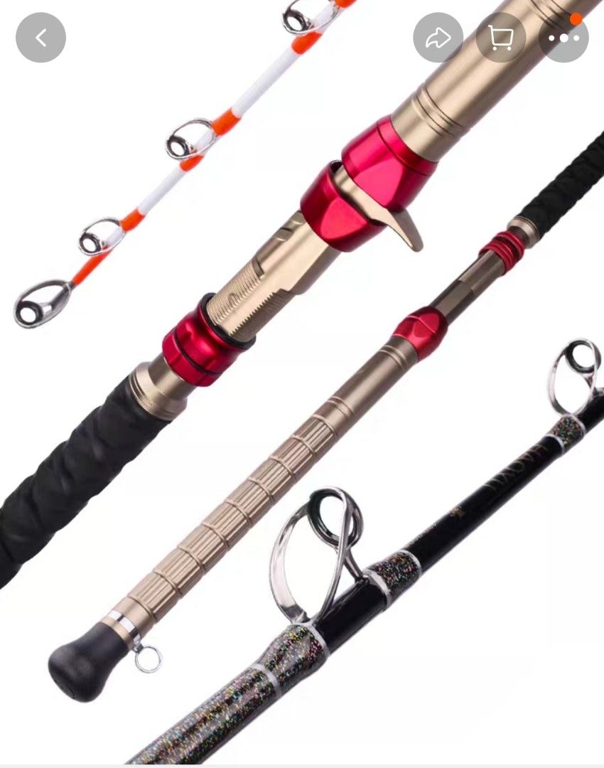 Electric Fishing rod, Sports Equipment, Fishing on Carousell