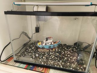 (Category: ) located in . Submitted by megushira (Listing ID 1277142837, Image 1). Description: .