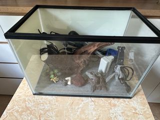 (Category: ) located in . Submitted by galaxy8888 (Listing ID 1277143821, Image 1). Description: .
