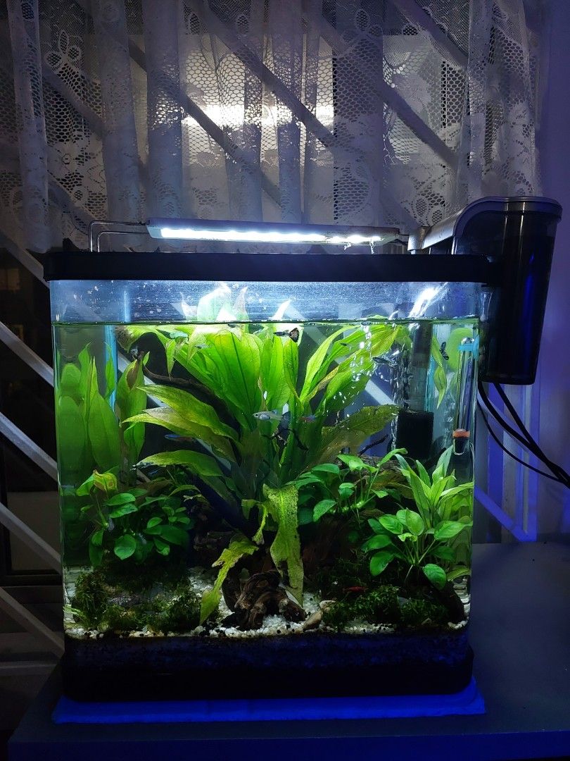 Fish Tank aquascape aquarium set and accessories, Pet Supplies